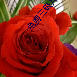 免费三级片软件 如临深渊）