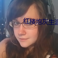 红楼炮灰生涯