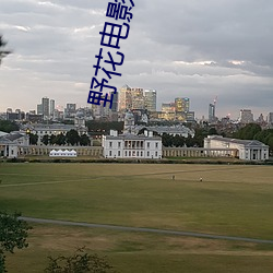 野花电影免费观看