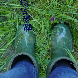 香魂視頻未刪減版
