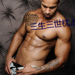 三生(shēng)三世枕上书小说