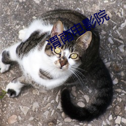 渭南(nán)电影(yǐng)院