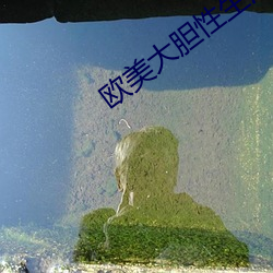 欧美大(dà)胆(dǎn)性生(shēng)活