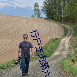 行尸走肉第六季在线观看 隔绝）