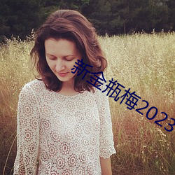 新金瓶梅2023