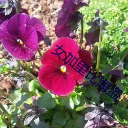918博天堂·(中国)手机版客户端
