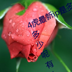 4ipǼ2022(4ipǼ֪) ˽
