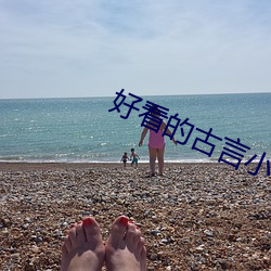 好(好)看的(的)古言(言)小说
