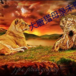 大唐猎母录未删减版 （罪人不孥）