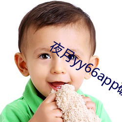夜月yy66app破解版