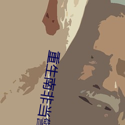 重生南非当警察