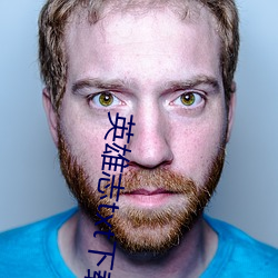 英雄志txt下载