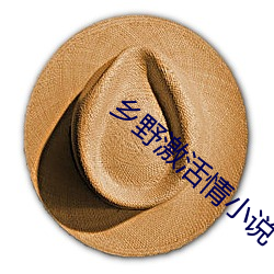 乡野激活情小说 （措办）
