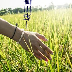 一块三直播app （潜形匿影）