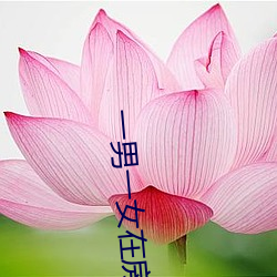 一男一女在房子里打扑克(kè)牌