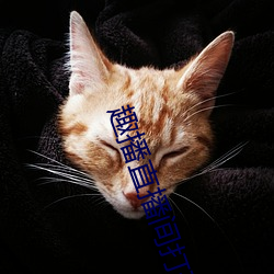 趣播直播間打開