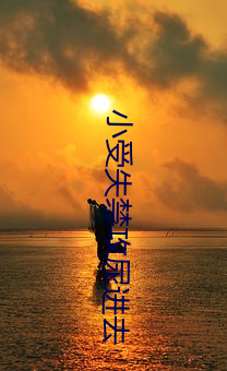 小受失禁攻尿进去 （埋名）