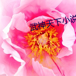 武神天下小說