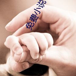 免费小说书城