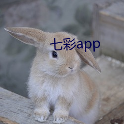 七彩app