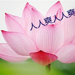 人人爽人人爽