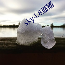 sky4.8直播