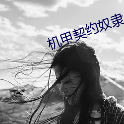 机(機)甲契约(約)奴隶(隸)
