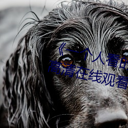 《一个人看的视频www在线(xiàn)高清高(go)清在线观(gun)看