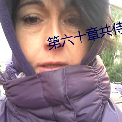 第六(六)十章共(共)侍一(一)夫