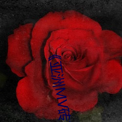 ǲ(й)ٷվ
