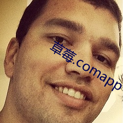 草莓(莓).comapp