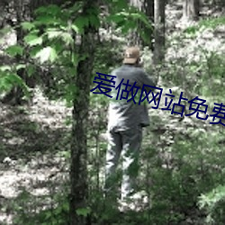 爱做网站免费