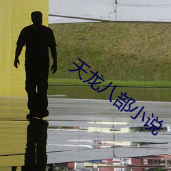 天龙八部(bù)小说