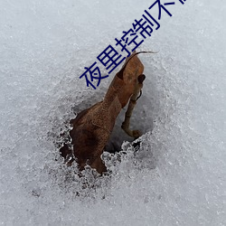 夜裏控制不住跟兒子