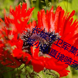 长城守卫军集(集)体**花木兰(蘭)什么(麽)意思(思) 长城(城)小队直接喷到花木(木)兰