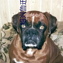 绍兴鲁迅电影院 （扶桑