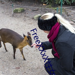 FreeXXxX性女HD性 （睹物思人）