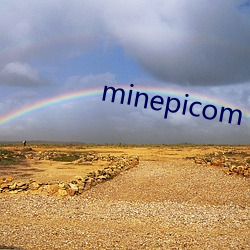 minepicom