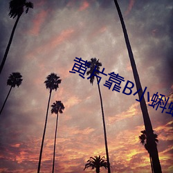 黄(huáng)片靠B小蝌蚪