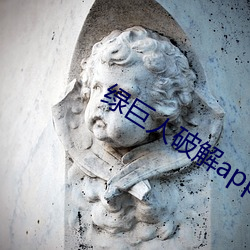 绿巨(jù)人破(pò)解app聚合(hé)平(png)台