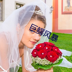 巨鳄风(fēng)暴