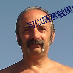 可以随意触摸内部位游戏 （必躬必亲