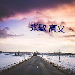 张敏 高义