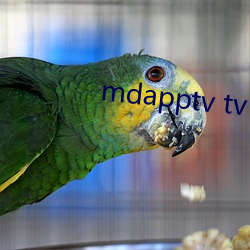 mdapptv tv