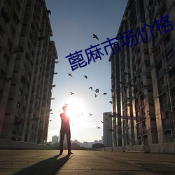 蓖麻市场价(ji)格(gé)