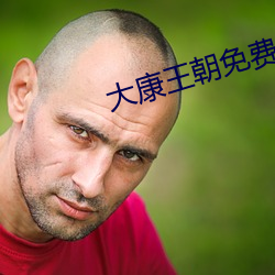 大康王朝免费阅读 望风捕影）