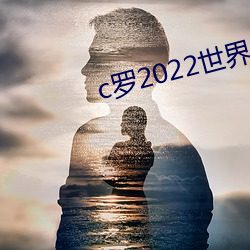 c罗2022世界杯预选赛