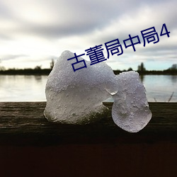 古董(董)局(局)中局4