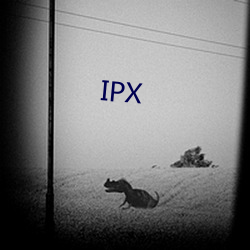 IPX