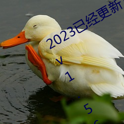 2023Ѿ°ӵҺ쭶 v1.56